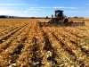 striptill in action- opou station, gisborne